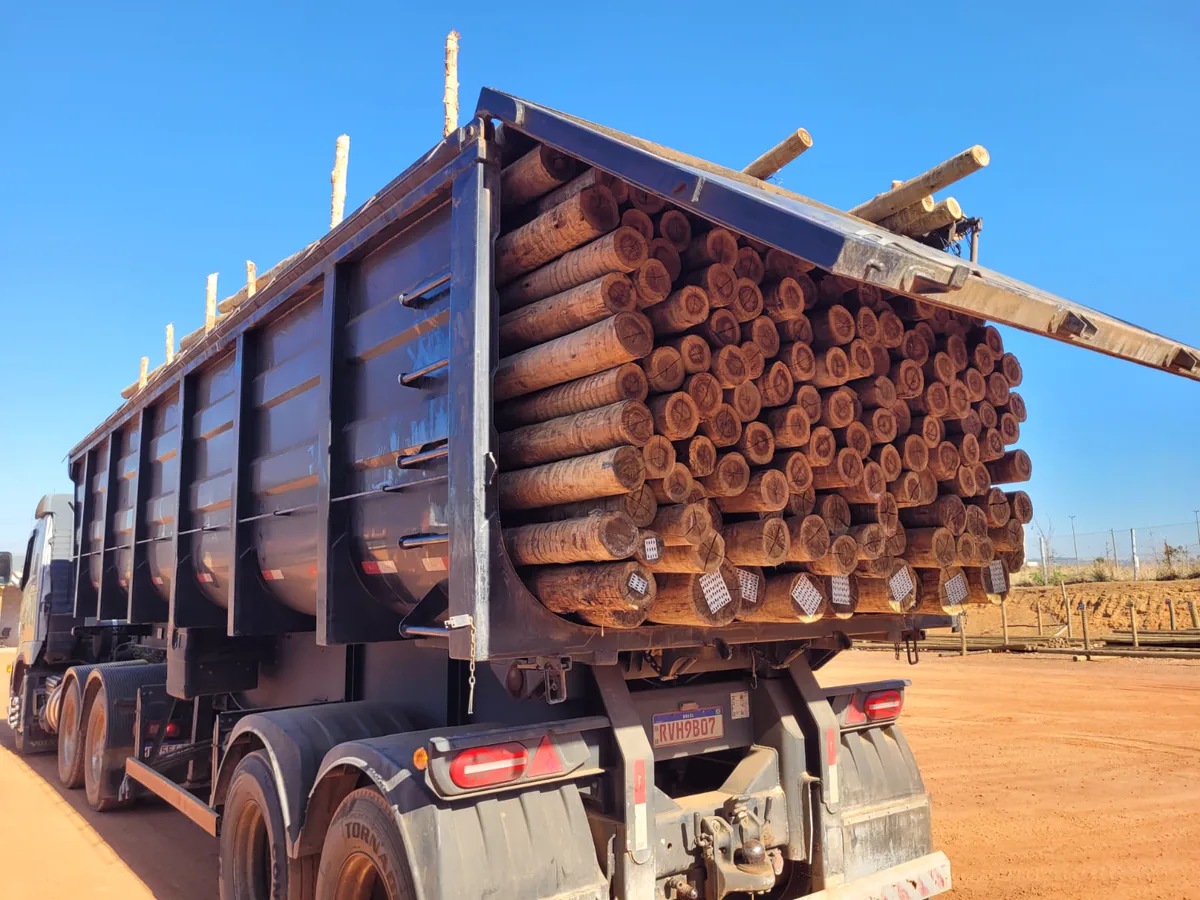 Caminhão carregado com toras de eucalipto no pátio da Ruann Eucaliptos